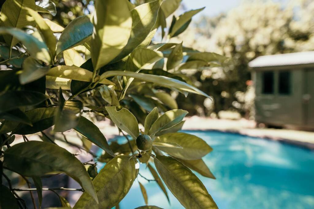 Classic Greyton Cottage For Two Extérieur photo